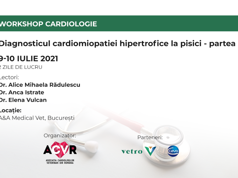 Workshop Cardiologie Diagnosticul cardiomiopatiei hipertrofice la pisici, partea I