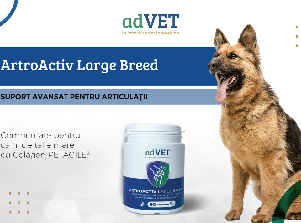 Îmbunătățirea bunăstării canine: Artroactiv Large Breed